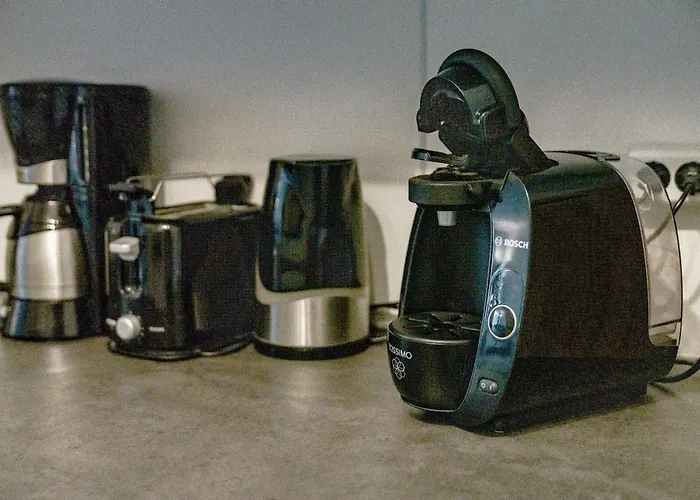 公寓 Haus Am Hs 350 戈斯拉尔