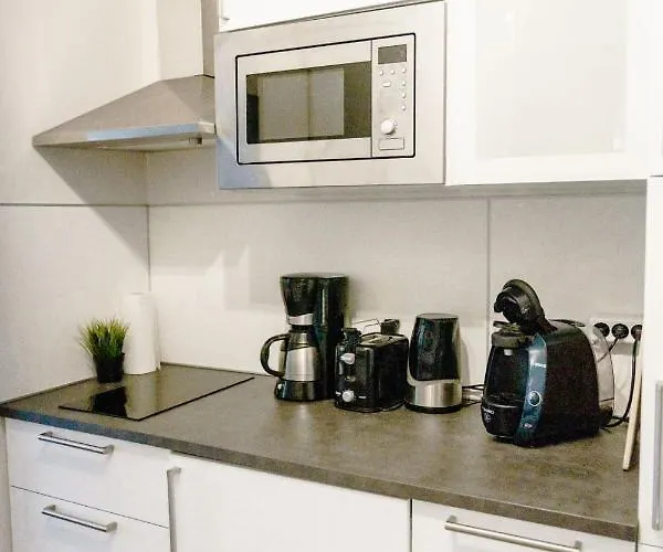 Haus Am Hs 350 公寓 戈斯拉尔